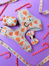 Bundle - Christmas gingerbread Candy Cane harness, lead, bow tie and waste bag set