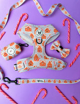 Bundle - Christmas gingerbread Candy Cane harness, lead, bow tie and waste bag set