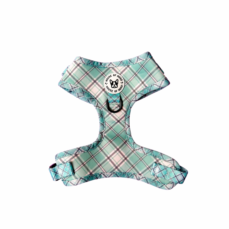 Harness - Sage green check