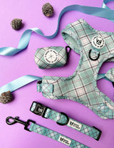 Bundle - Sage Check harness, collar, lead, bow tie and waste bag set