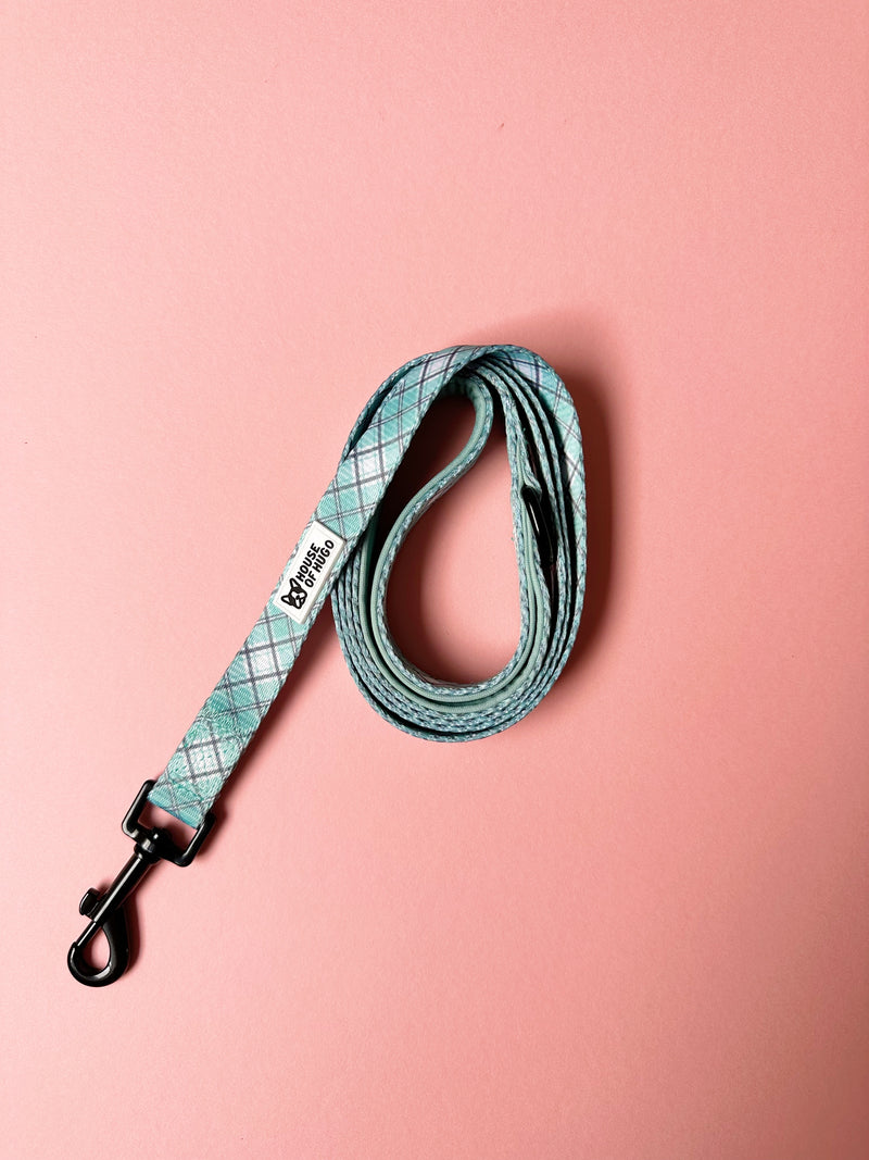 Bundle - Sage Check harness, collar, lead, bow tie and waste bag set