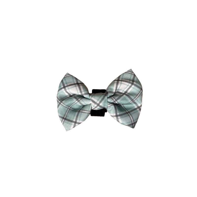 Bow Tie - Sage check