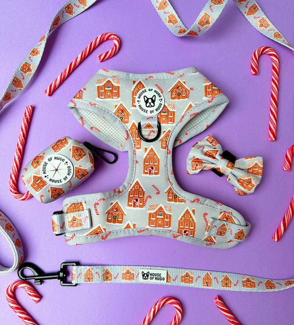 Bundle - Christmas gingerbread Candy Cane harness, lead, bow tie and waste bag set