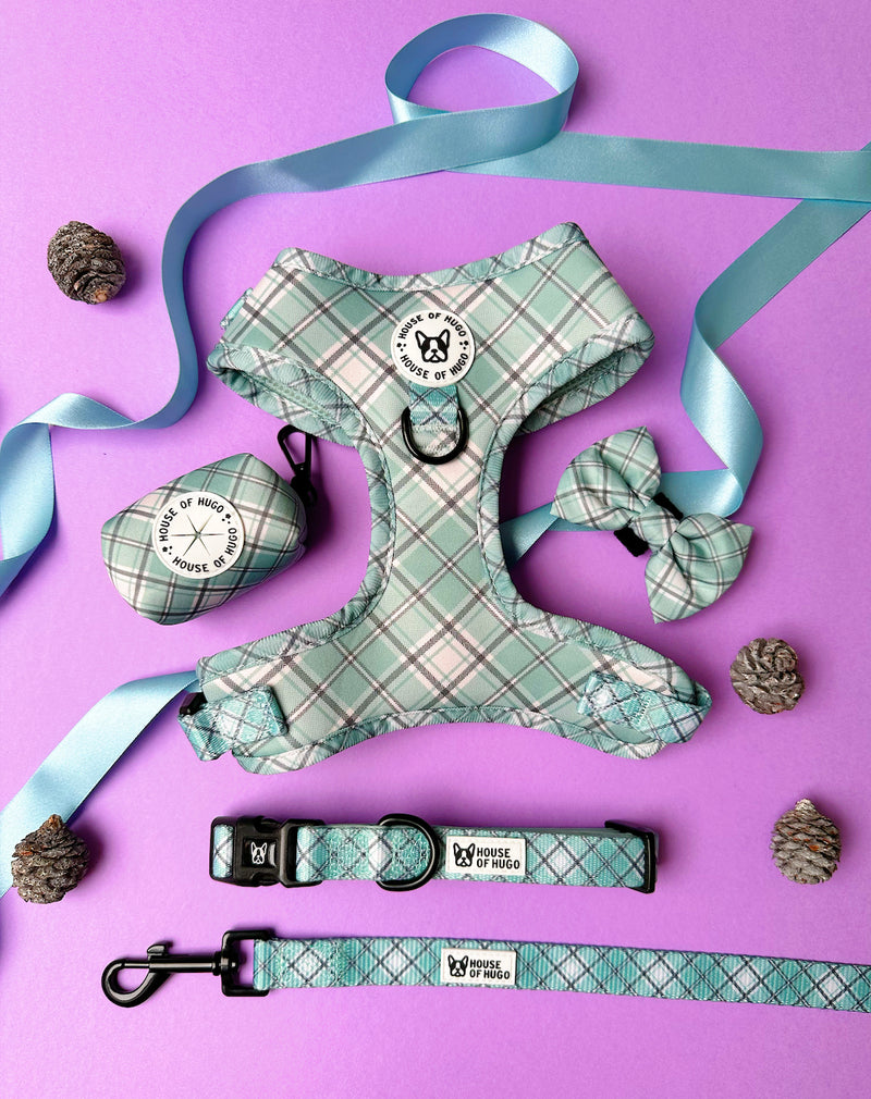 Bundle - Sage Check harness, collar, lead, bow tie and waste bag set