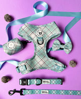 Bundle - Sage Check harness, collar, lead, bow tie and waste bag set