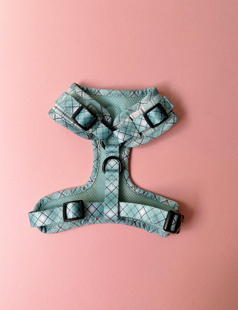 Harness - Sage green check