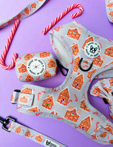 Bundle - Christmas gingerbread Candy Cane harness, lead, bow tie and waste bag set