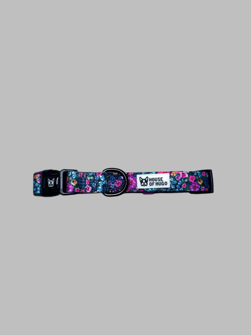 Collar - Candy Floral