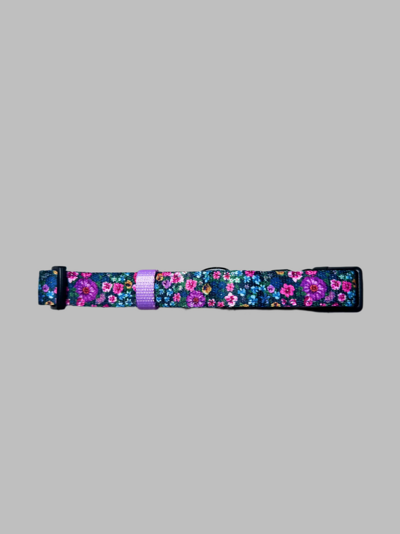 Collar - Candy Floral