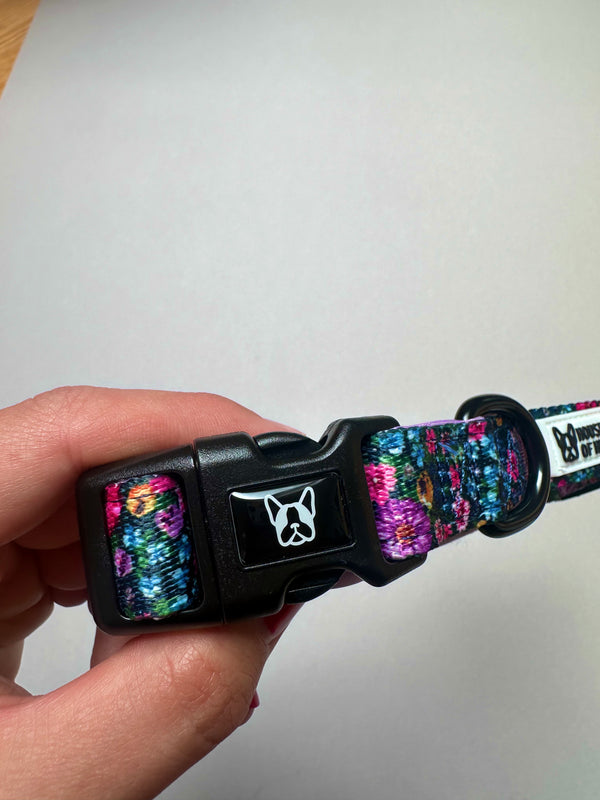 Collar - Candy Floral