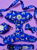 Bundle - Skateboarding dogs harness, collar, waste bag, lead, bow tie set
