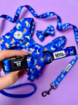 Collar - Skateboarding Dogs