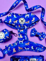 Harness - Skateboarding Dogs