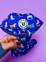 Harness - Skateboarding Dogs