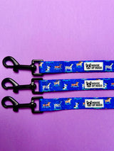 Bundle - Skateboarding dogs harness, collar, waste bag, lead, bow tie set