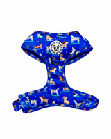 Harness - Skateboarding Dogs