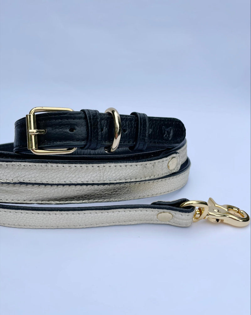 Solid Leather Lead - You're a Star
