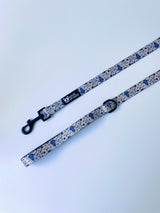Buzz Collar & Lead Set