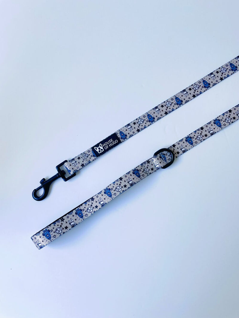 Buzz Collar & Lead Set