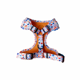 Harness - Orange Terrazzo