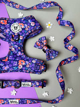 Bundle - Ditsy Floral harness, collar, lead, bow tie set