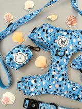 Bundle - Capri harness, Collar & Bow Tie