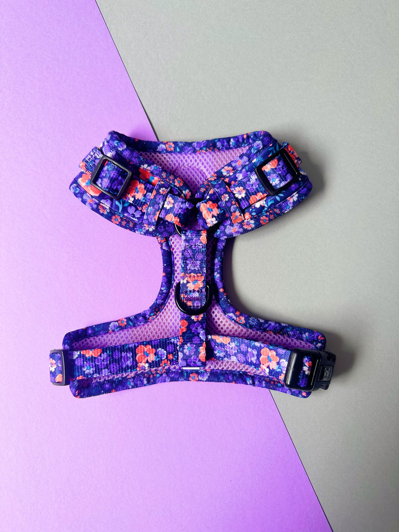 Harness - Ditsy Floral