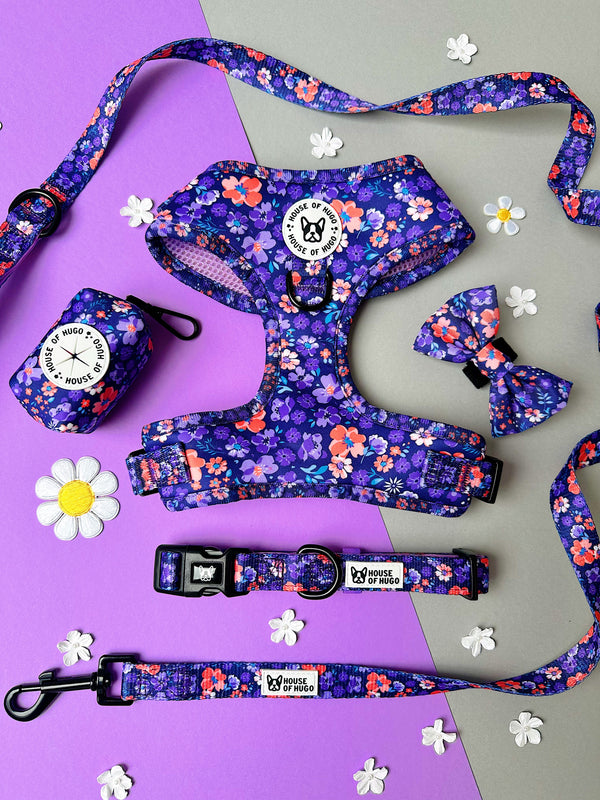 Bundle - Ditsy Floral harness, collar, lead, bow tie set