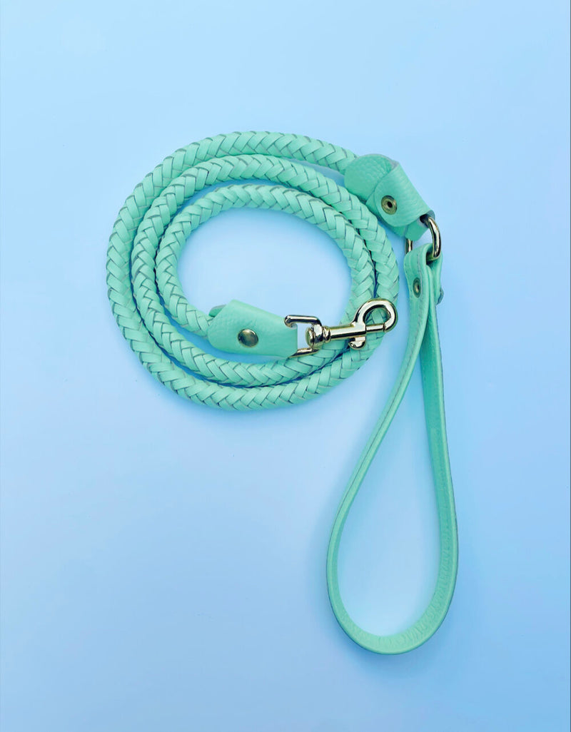 Leather Braided Lead - Misty Mint