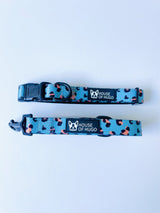 Safari Pawty Collar & Lead Set