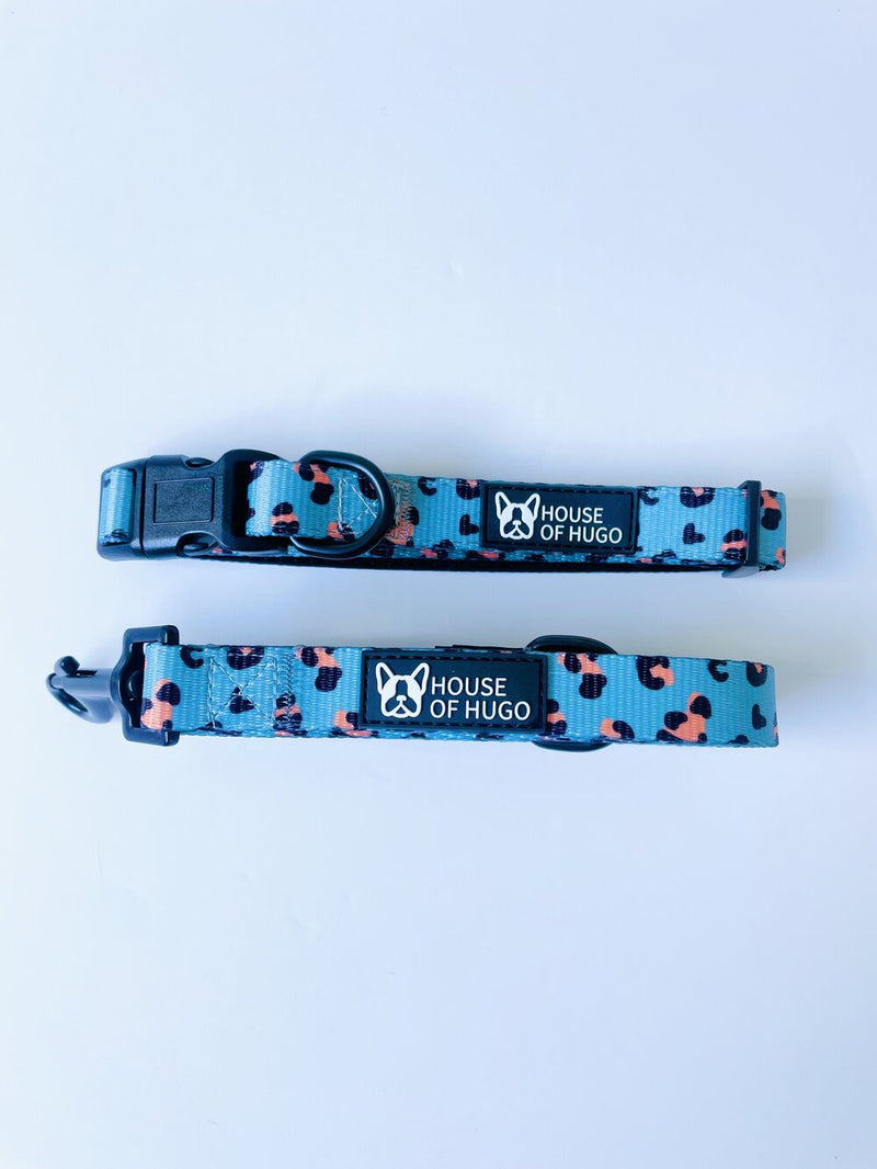 Safari Pawty Collar & Lead Set