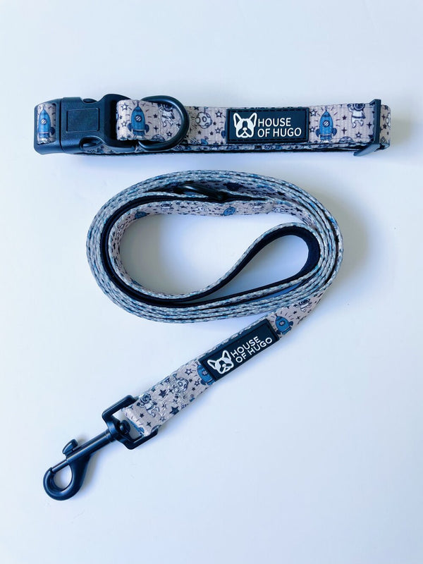 Buzz Collar & Lead Set