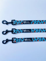 Safari Pawty Collar & Lead Set