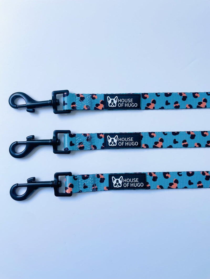 Safari Pawty Collar & Lead Set