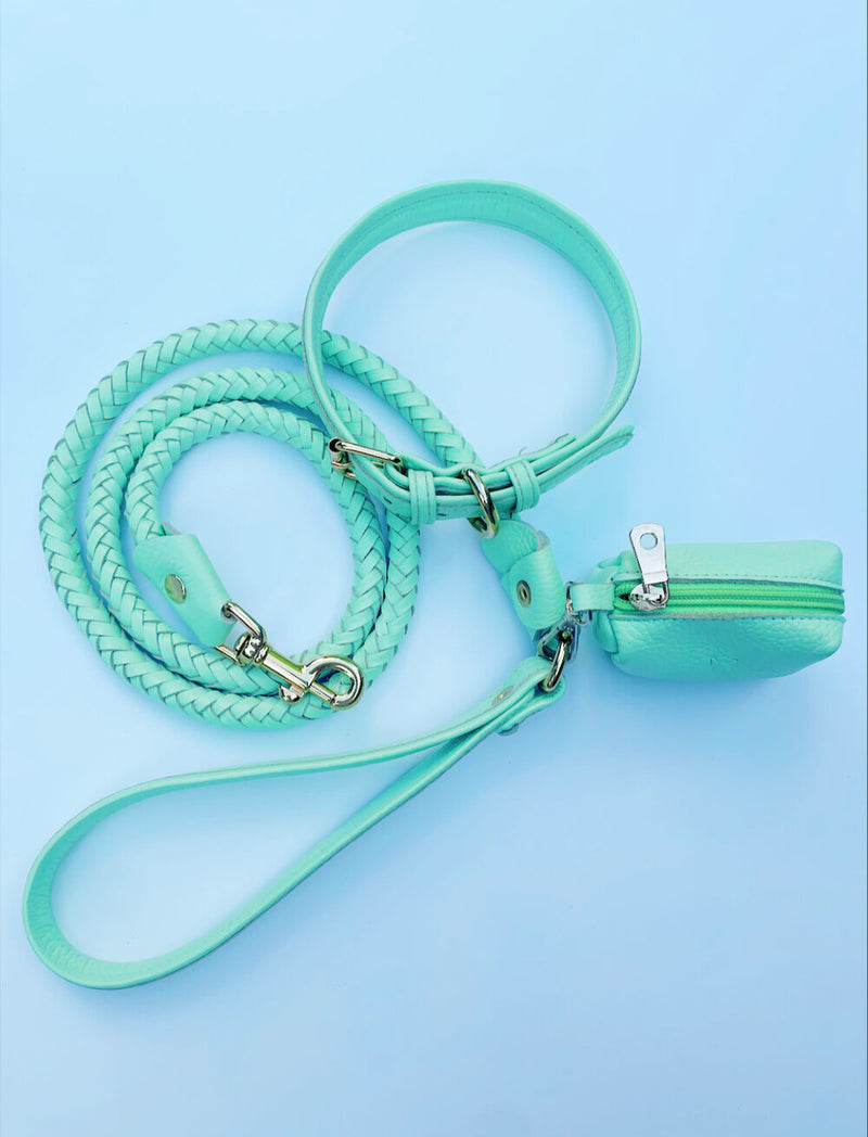 Leather Braided Lead - Misty Mint