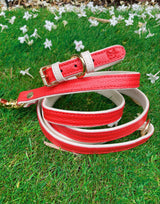 Collar - Poppy Red