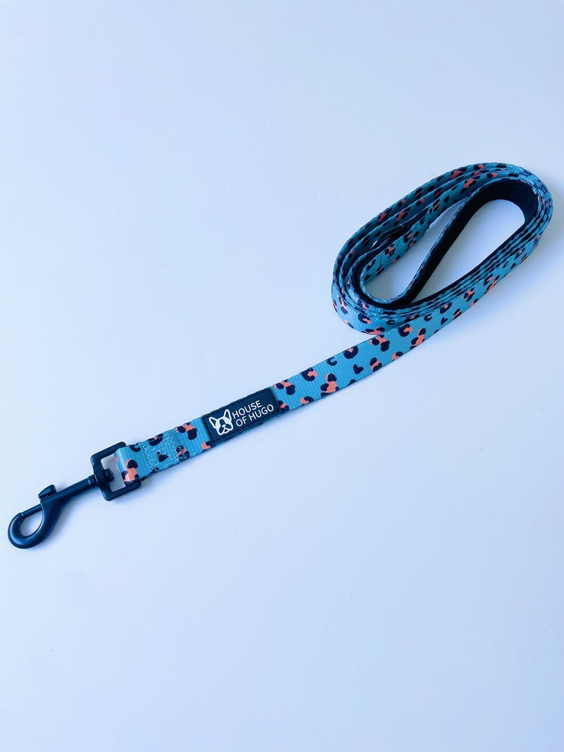 Safari Pawty Collar & Lead Set