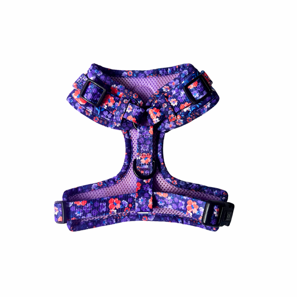 Harness - Ditsy Floral