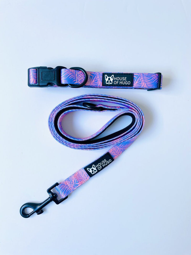 Miami Collar & Lead Set