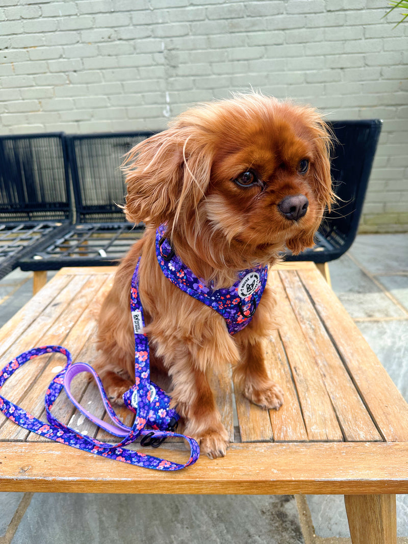 Collar - Ditsy Floral