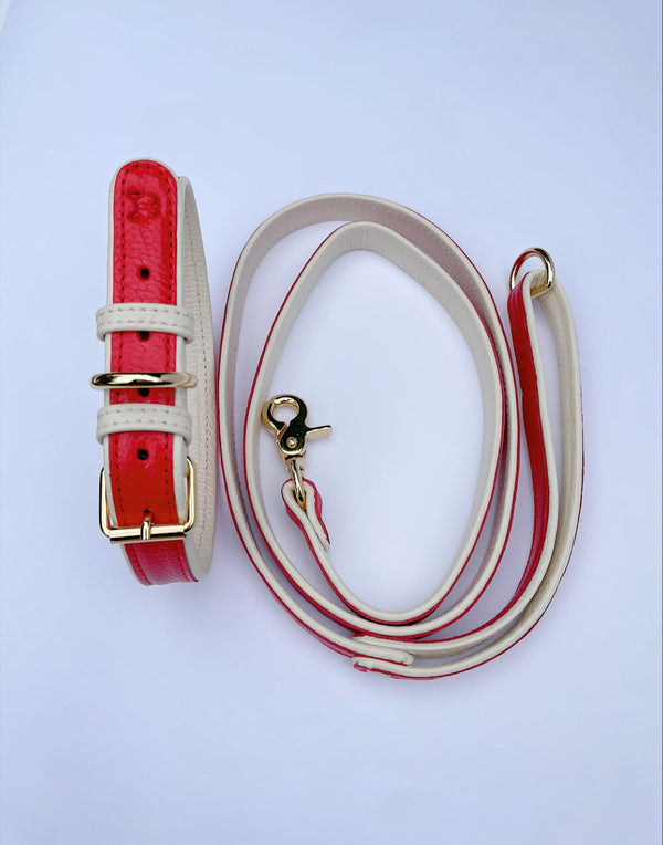 Solid Leather Lead - Poppy Red