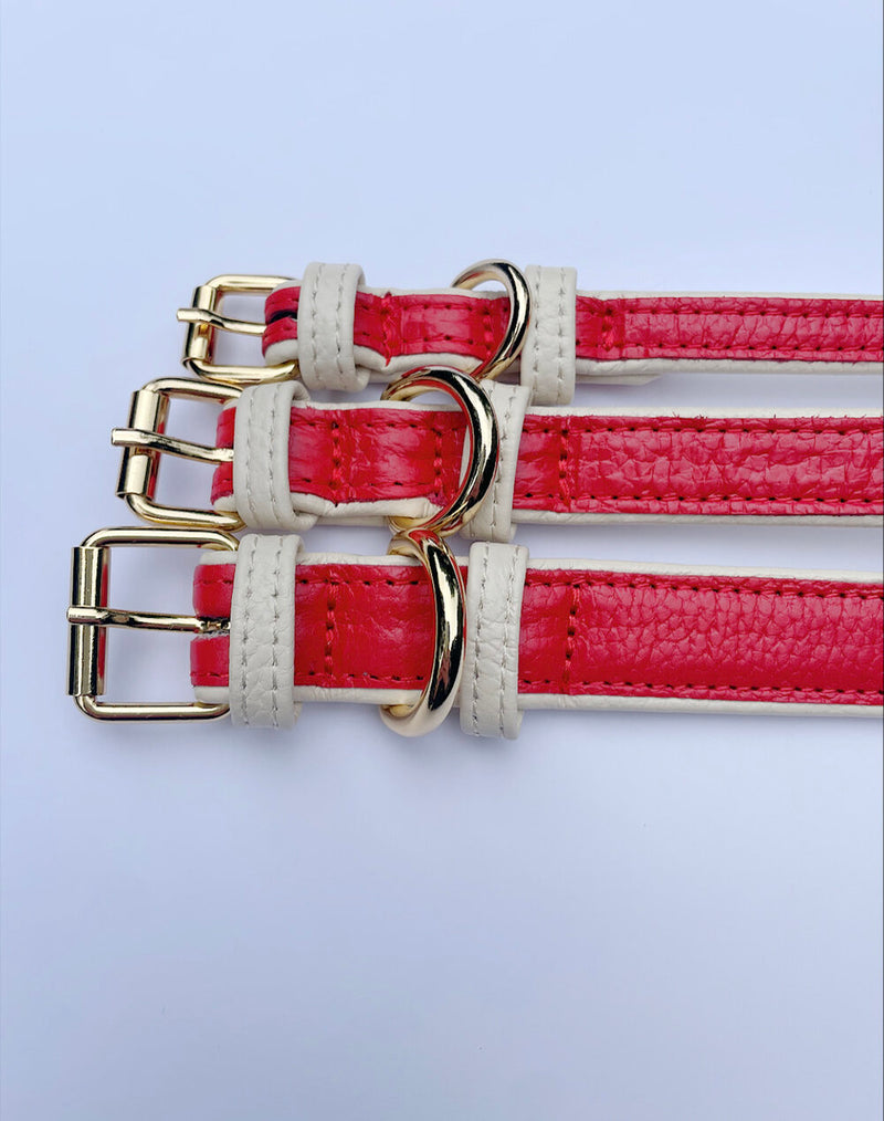 Collar - Poppy Red