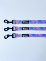 Miami Collar & Lead Set