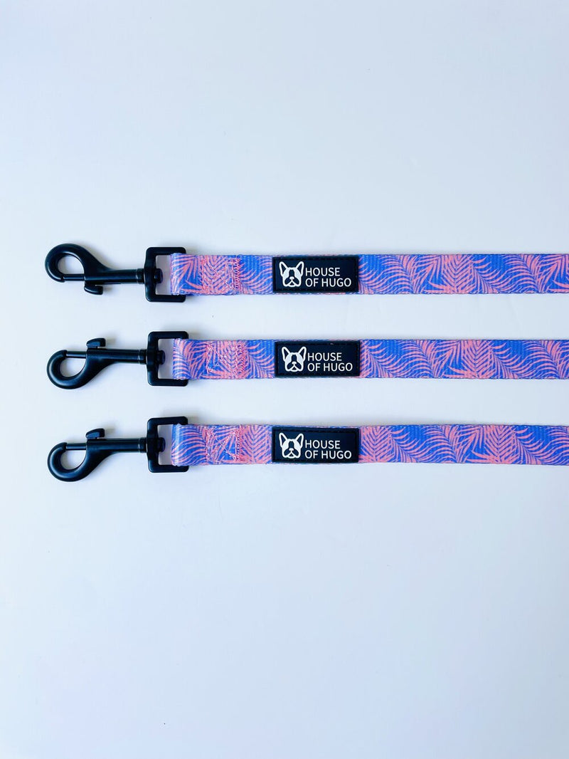 Miami Collar & Lead Set