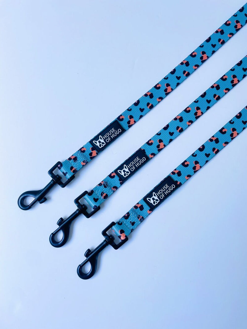 Safari Pawty Collar & Lead Set
