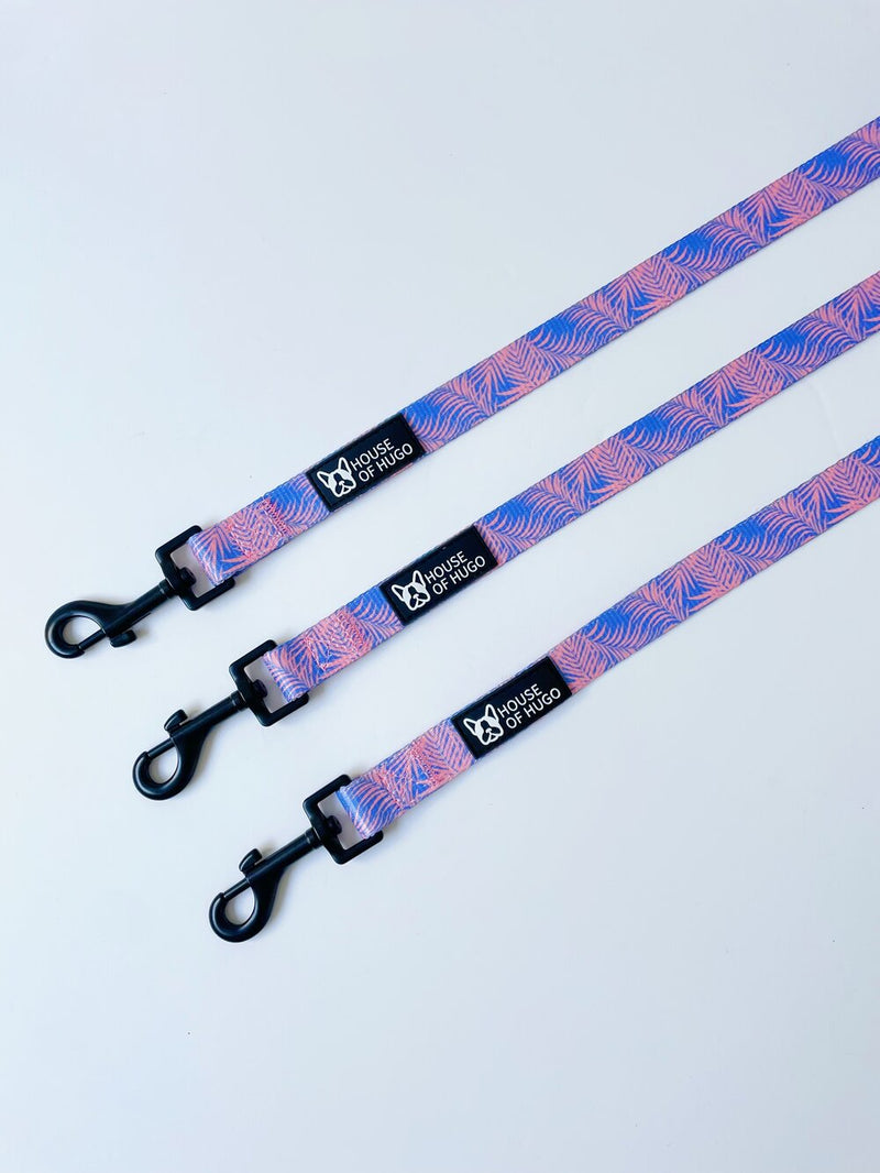 Miami Collar & Lead Set