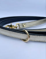 Solid Leather Lead - You're a Star