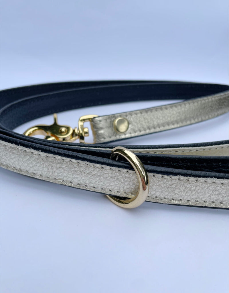Solid Leather Lead - You're a Star