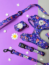 Bundle - Ditsy Floral harness, collar, lead, bow tie set