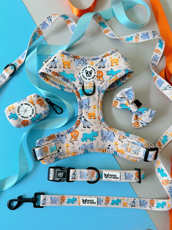 Bundle - Savanna harness, collar & bow tie set